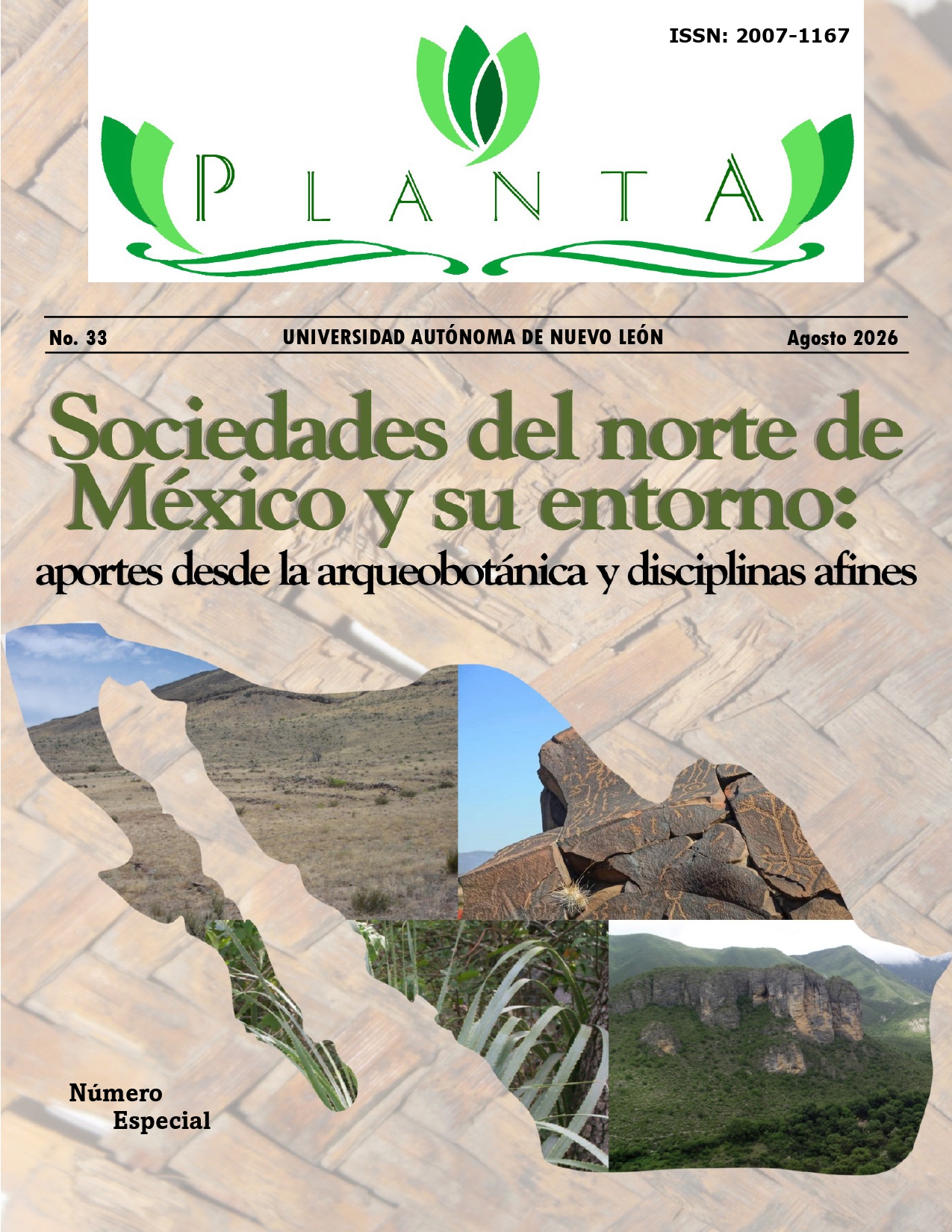 					Ver Vol. 22 Núm. 33 (2026): Agosto 2026
				